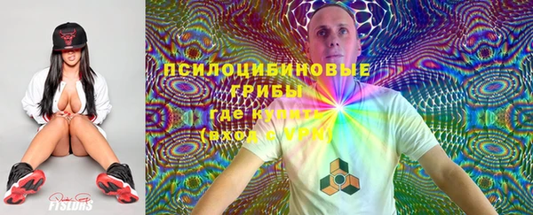 твердый Киреевск