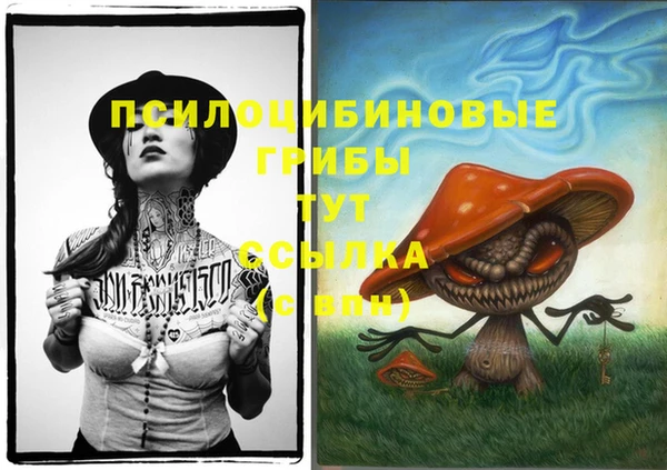 не бодяженный Кинешма