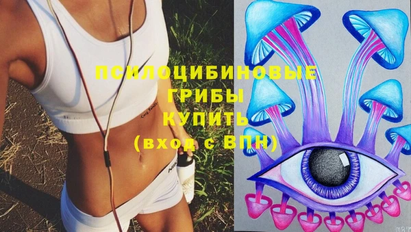 молекула духа Киренск