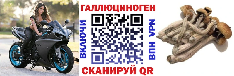 Псилоцибиновые грибы мицелий  Купить  Кувандык 